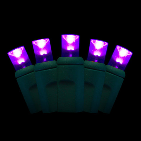 5mm LED purple string lights 70 bulb 4" spacing